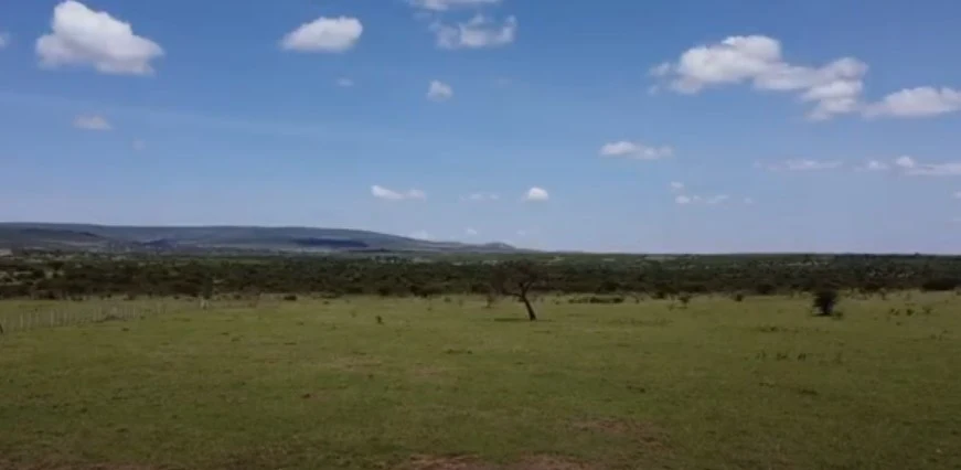 Exclusive 2-Acre Plots with Wildlife at Your Doorstep - Nature Lover's Paradise - Maasai Mara